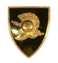 U.S.M.A. WEST POINT MILITARY ACADEMY CLASS PIN