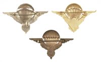 FRENCH AFRICA PARATROOPER BADGE LOT #2