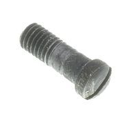 SWIVEL SCREW