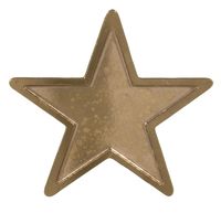 STAR CORPS BADGE